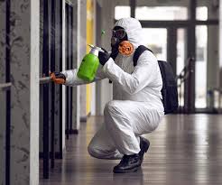 Best Emergency Mold Remediation  in Satellite Beach, FL